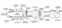 Handree_(Gunship_Side_view).png