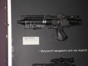 P4280154_compressed.jpg