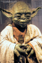 yoda_001.JPG